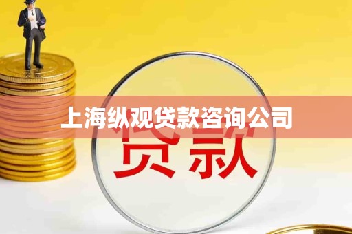 上海纵观贷款咨询公司